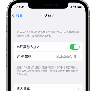 江南apple服务站点分享iPhone上个人热点丢失了怎么办