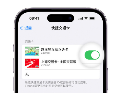 江南apple维修点分享iPhone上更换Apple Pay快捷交通卡手绘卡面 