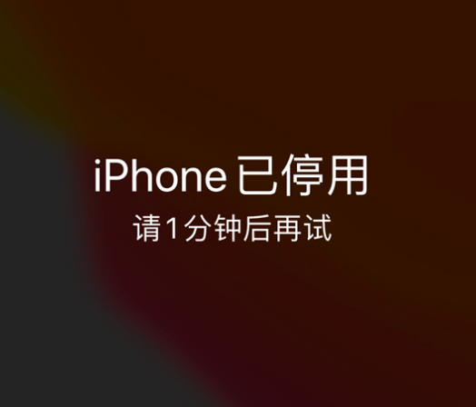 江南苹果手机维修分享:iPhone 显示“不可用”或“已停用”怎么办？还能保留数据吗？ 