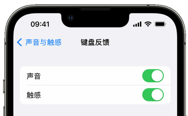 江南苹果手机维修分享iPhone 14触感键盘使用方法 