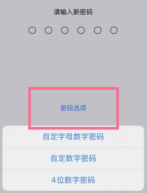 江南苹果14维修分享iPhone 14plus设置密码的方法 