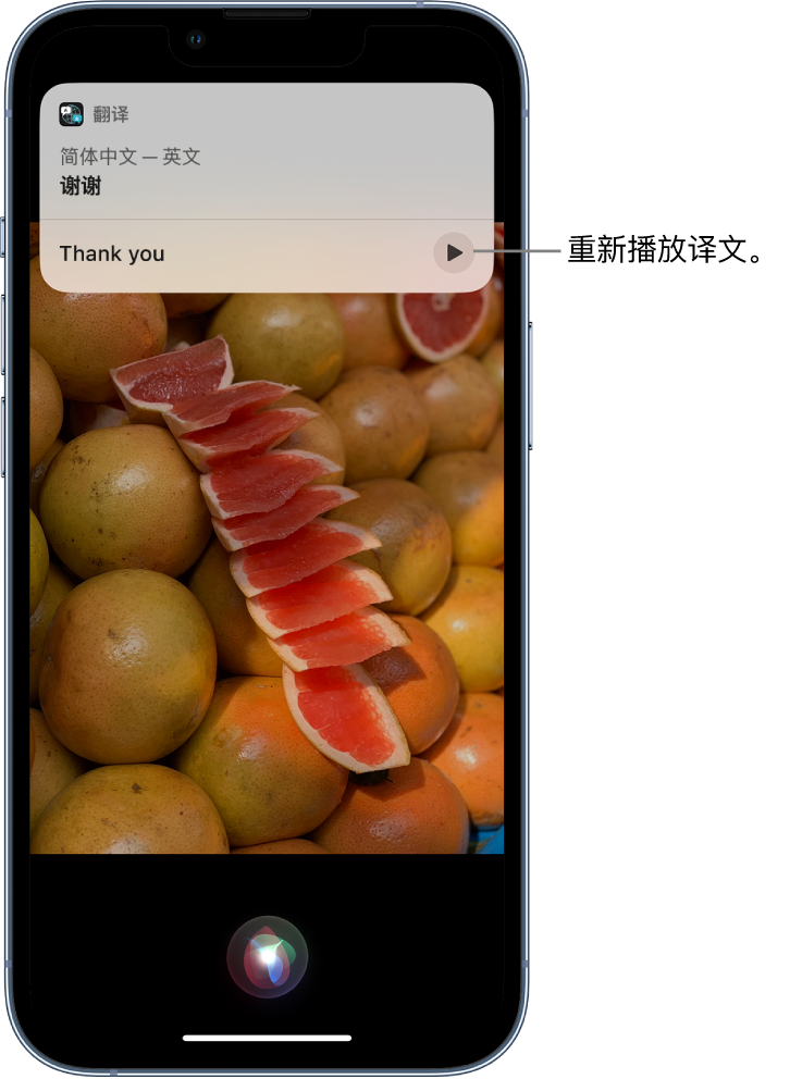 江南苹果14维修分享 iPhone 14 机型中使用 Siri：了解 Siri 能帮你做什么 