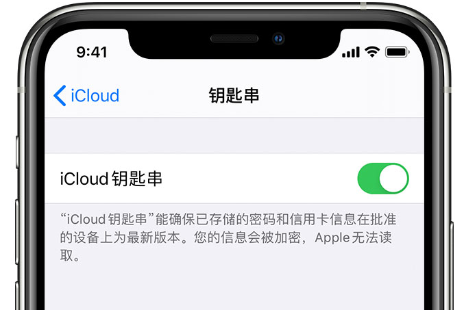 江南苹果手机维修分享在 iPhone 上开启 iCloud 钥匙串之后会储存哪些信息 