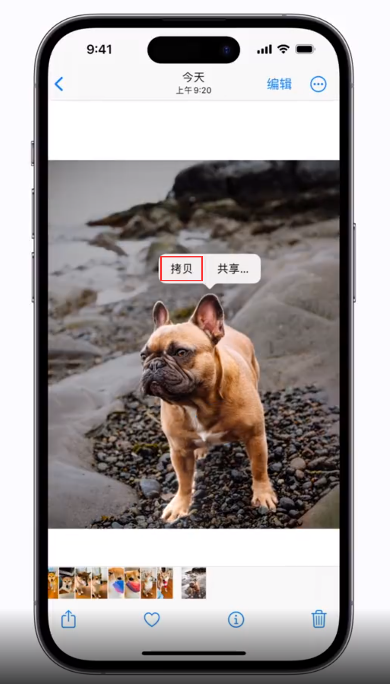 江南苹果手机维修分享 iOS 16 自带一键抠图功能 