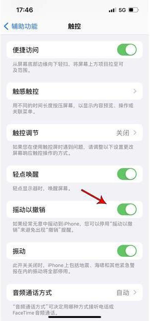 江南苹果手机维修分享iPhone手机如何设置摇一摇删除文字 