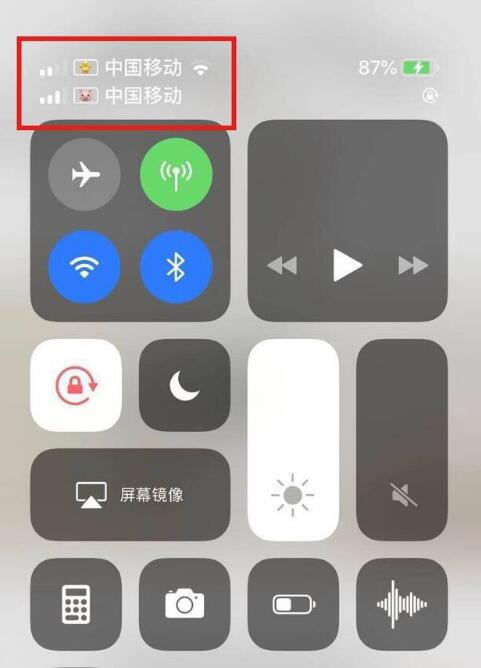 江南苹果手机维修分享为 iPhone 12 双卡设置标签 